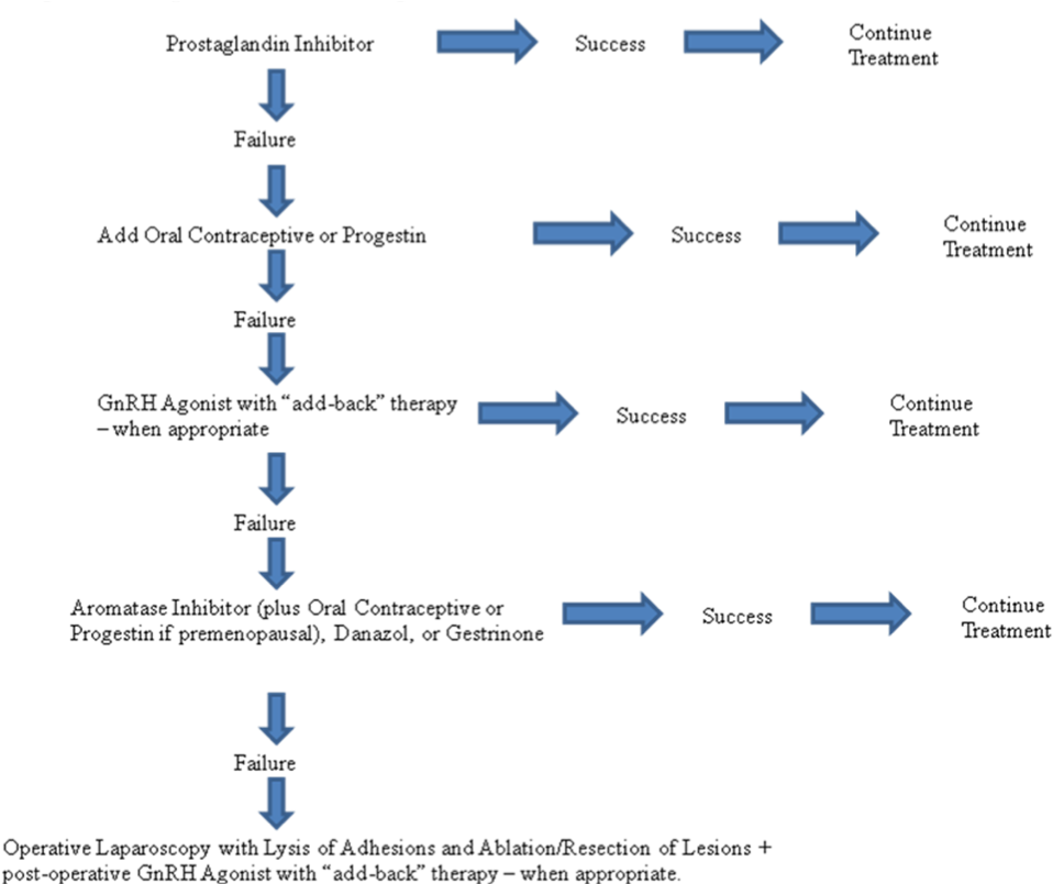 Treatment Algorithm For Pain Associated With Endometriosis - Therapy (975x818), Png Download