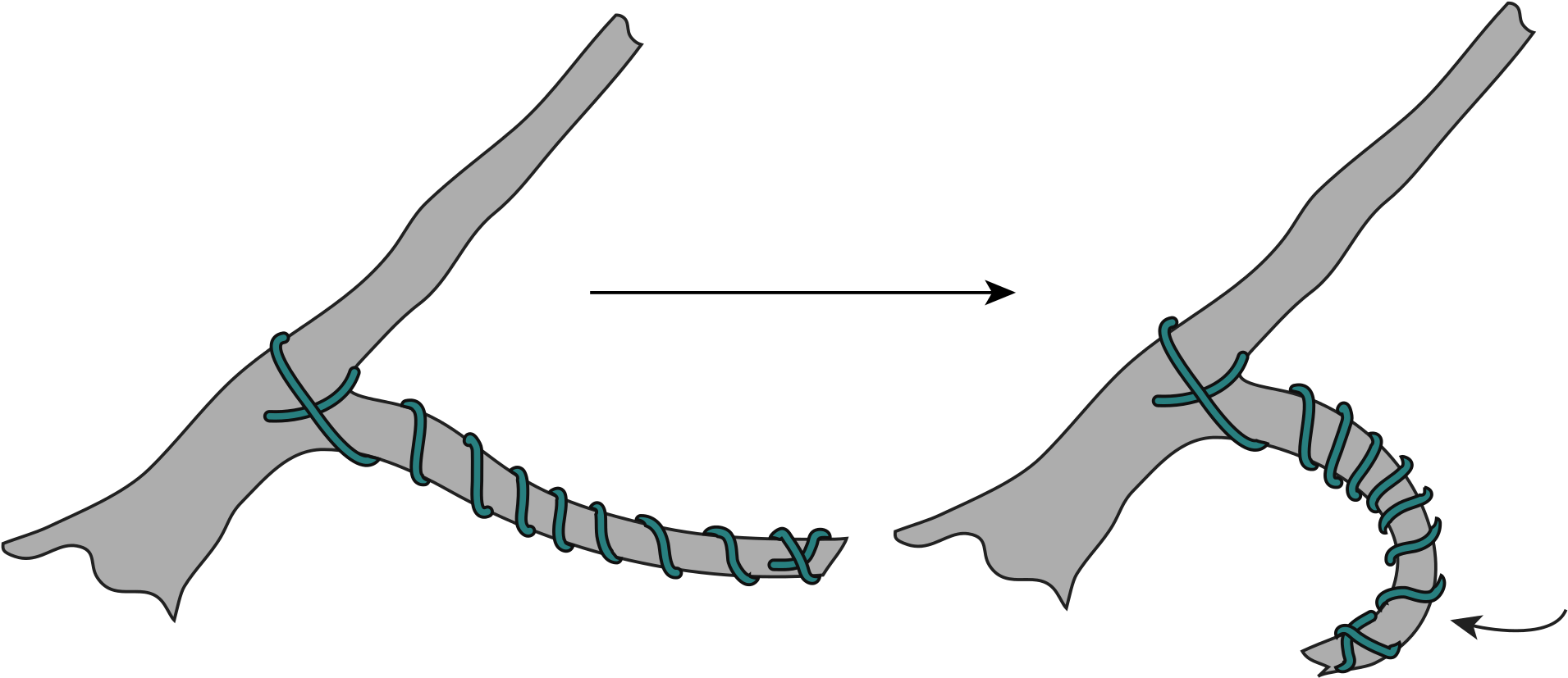 Open - Wire A Bonsai (2000x931), Png Download