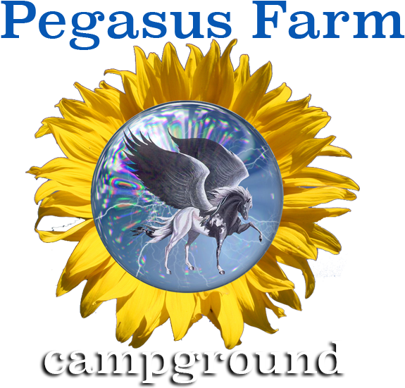 Pegasus Farm Campground - Pegasus (589x589), Png Download