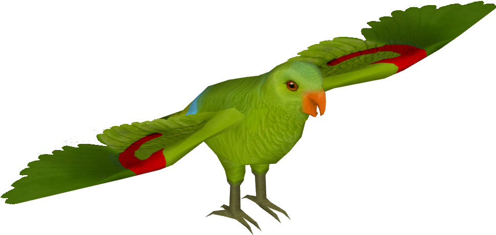 Red Winged Parrot 01 - Wiki (968x968), Png Download