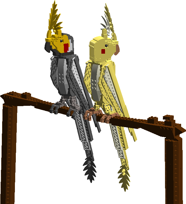 Cockatoo (1116x672), Png Download