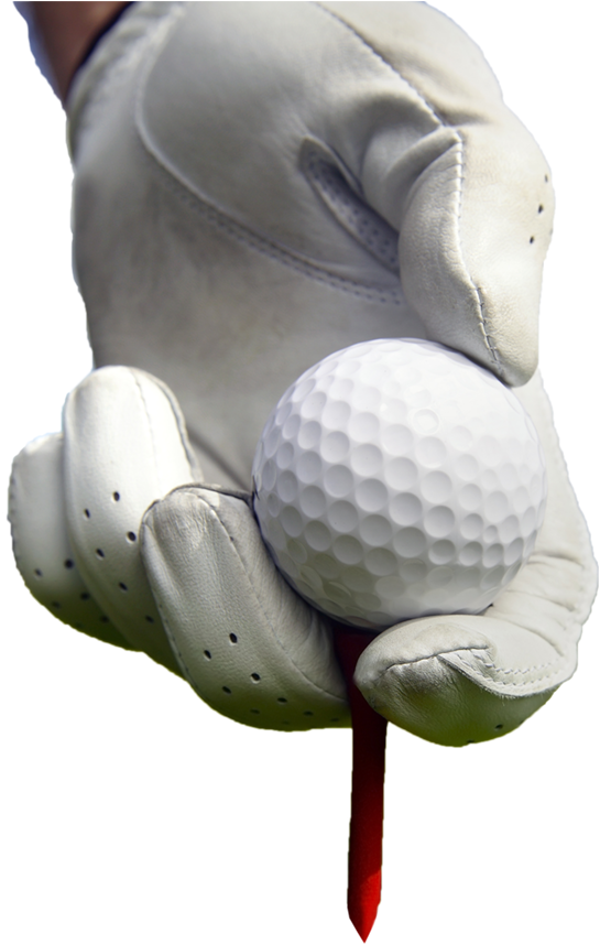 Free Golf Grass Png - Golf Ball (544x888), Png Download