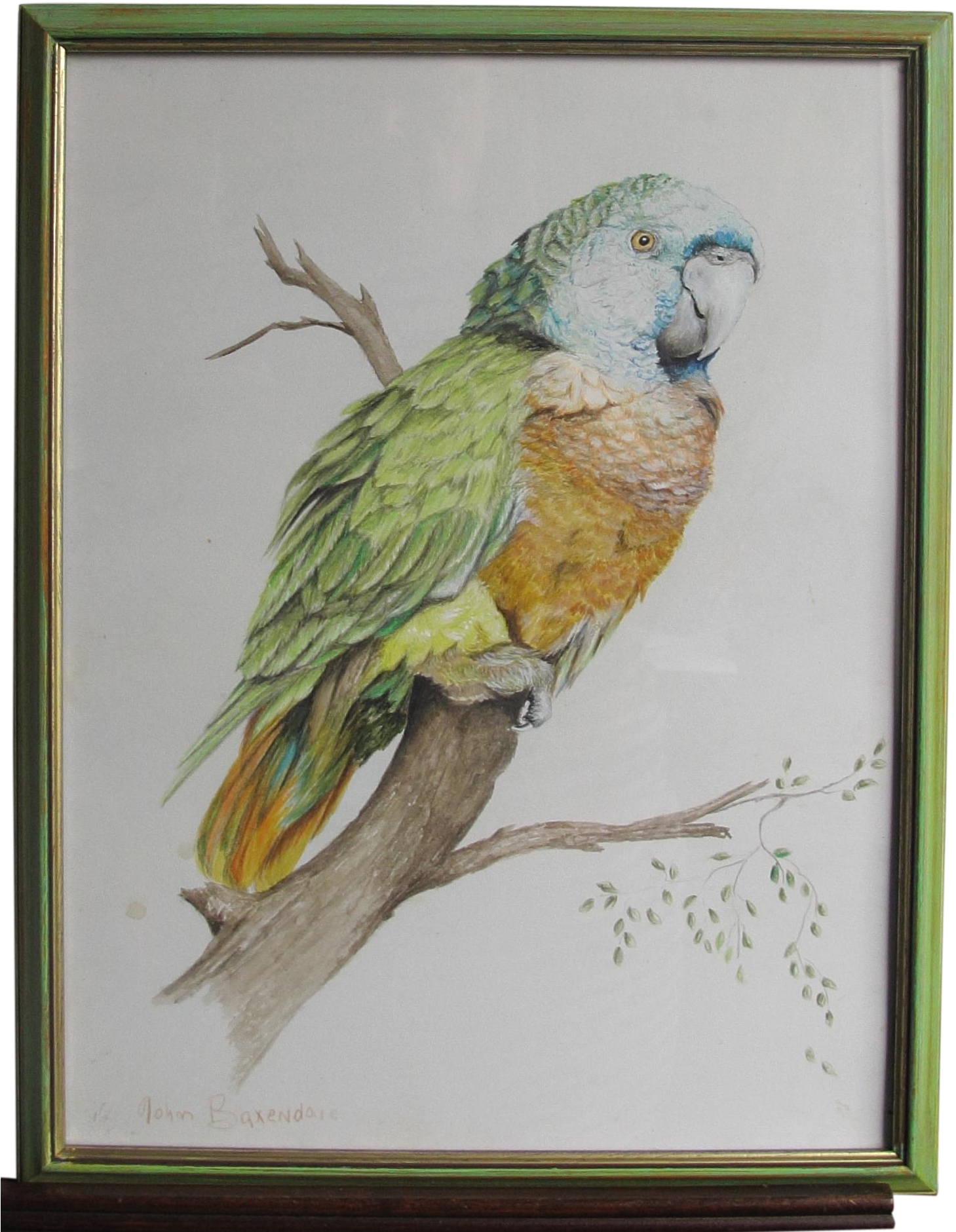 Green Parrot John Baxendale 1919-1982 English Bird - Parrot (1880x1880), Png Download