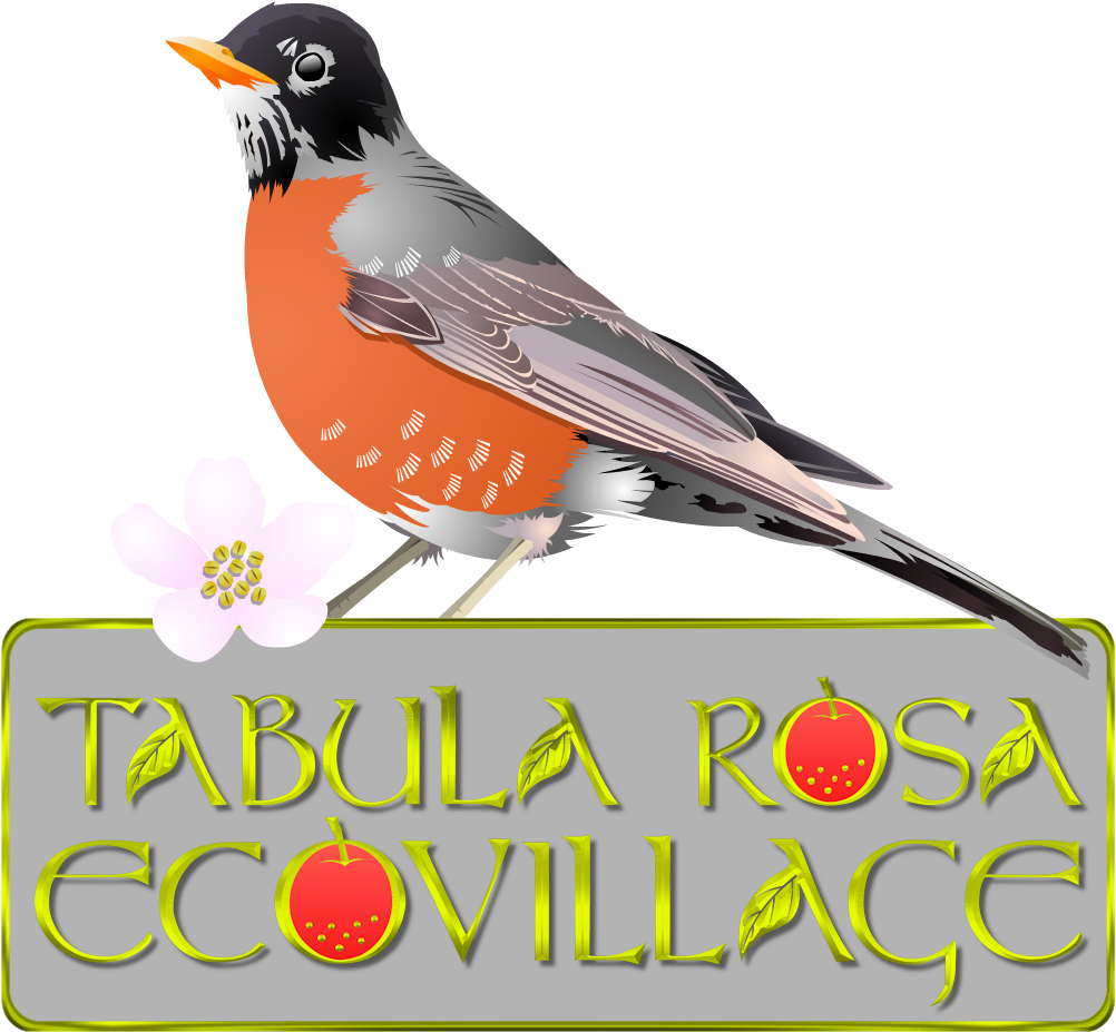 Mobirise (1010x1010), Png Download