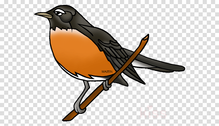 Bird Robin Transparent Background Clipart European - Plants Are Important For Us (900x520), Png Download