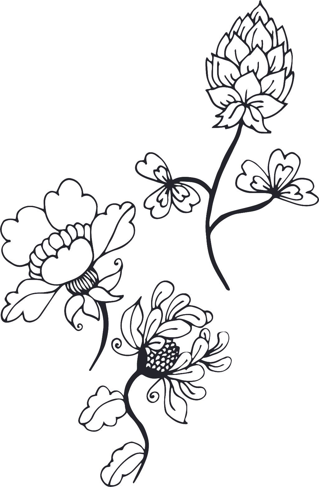 Black And White Fleshy Cartoon Transparent - Chrysanths (1024x1564), Png Download