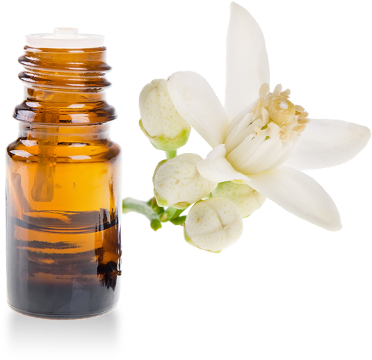 Organic Neroli Essential Oil - Kerstin Florian Rehydrating Neroli Facial Oil, 1 Oz (700x700), Png Download