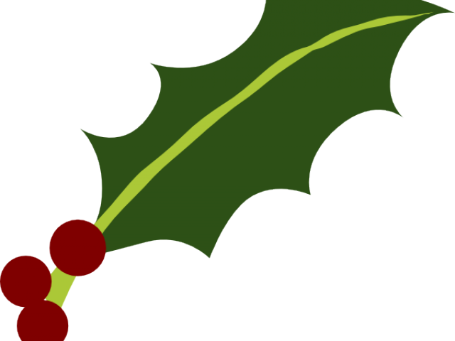 Holly Leaves And Berries Png (640x480), Png Download