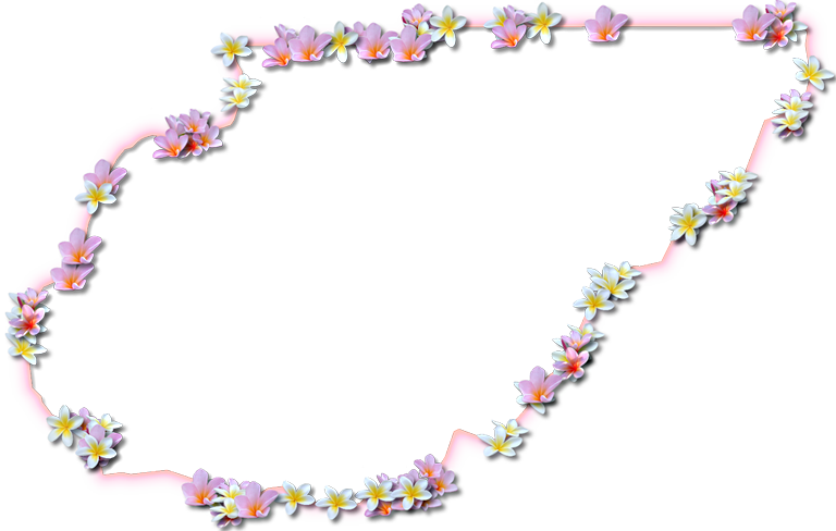 A Map Of Union With A Coral Color Glow Border And Pink - Floral Design (768x488), Png Download