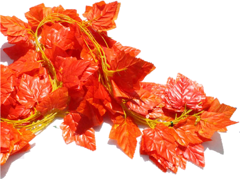 Su Shi Rattan Wall Hanging Fake Flower Vine Decorative - Artificial Flower (800x800), Png Download