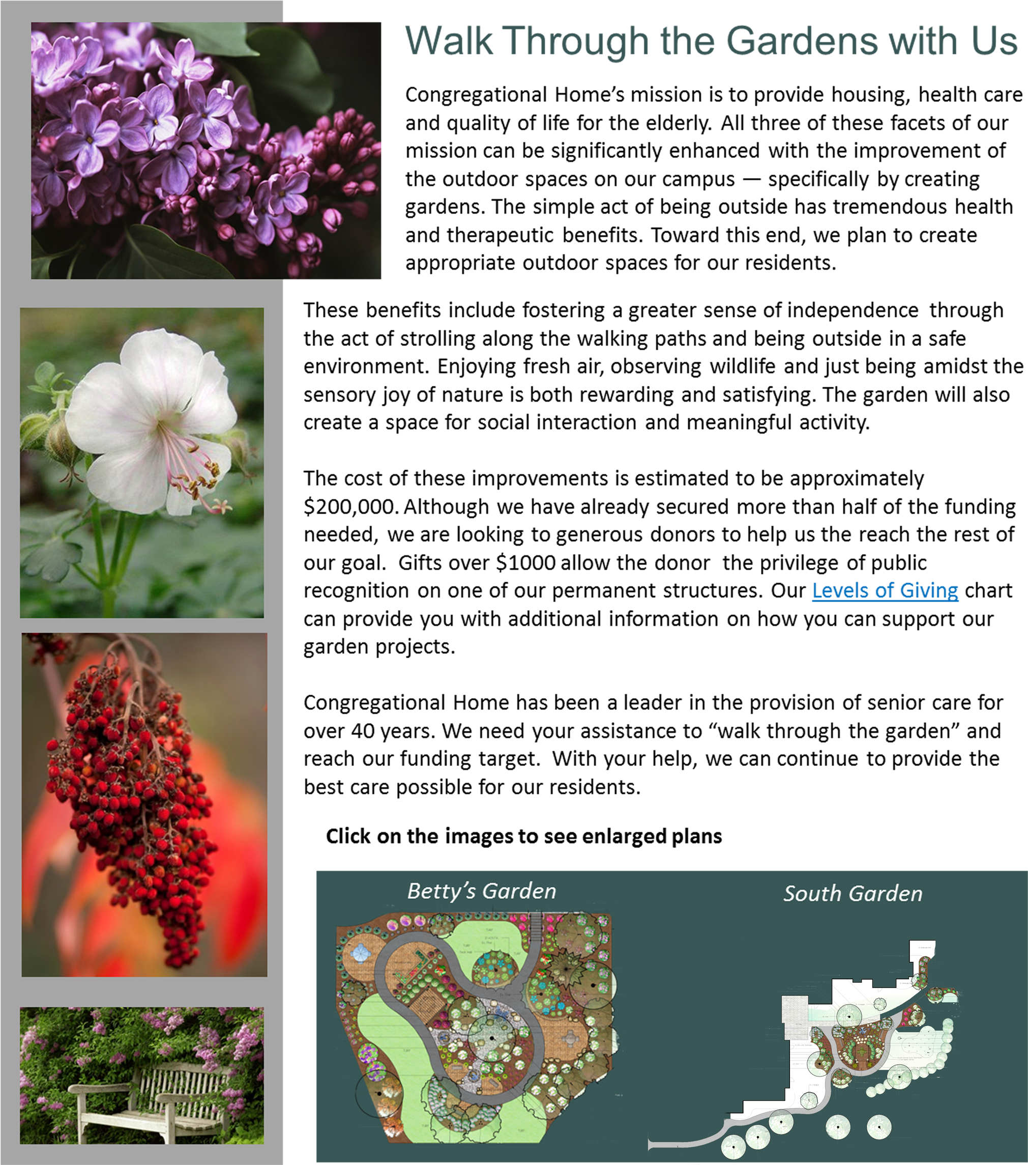 Geranium X Cantabrigiense Biokovo (2100x2374), Png Download