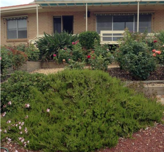 Home Overlooking The Mighty Murray River - Yard (800x533), Png Download