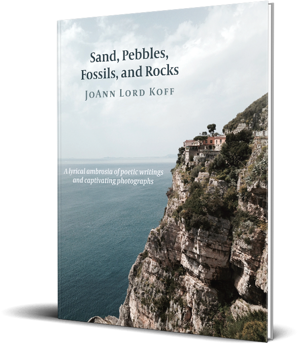 Sand, Pebbles, Fossils, And Rocks - Sappho Publishing (800x800), Png Download