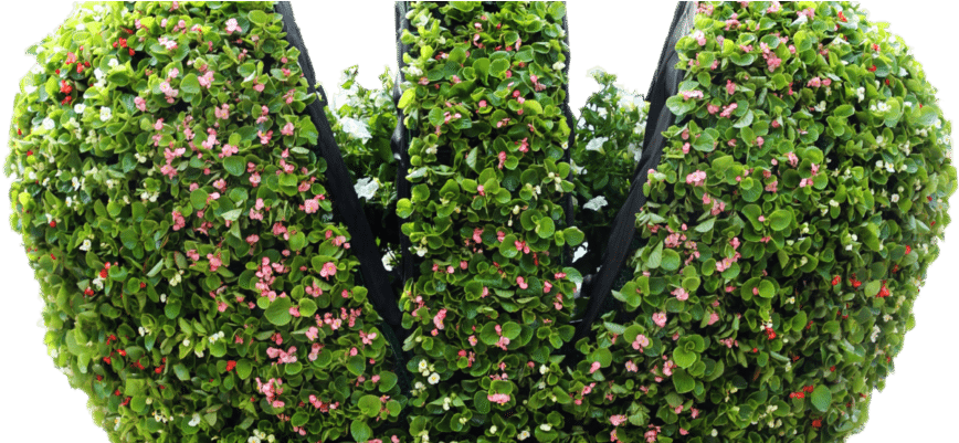 Crown-940x400 - Museum (940x400), Png Download