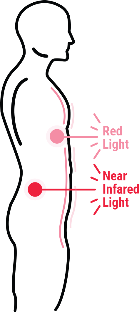 50/50 Combination Of Red & Near-infrared Light - Illustration (1018x1112), Png Download