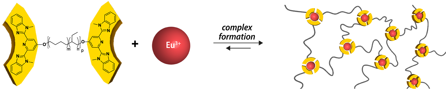Graphic Design (1600x670), Png Download