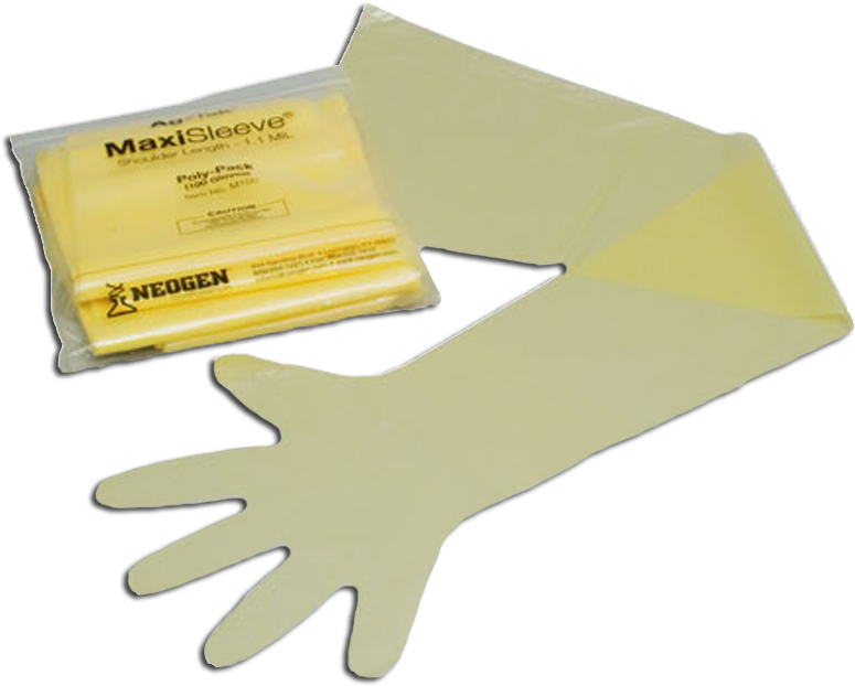 Fsm100 - Glove (800x800), Png Download