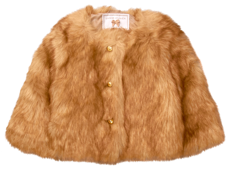 Fur Coats Brown Png Image - Fake Fur Png (578x609), Png Download