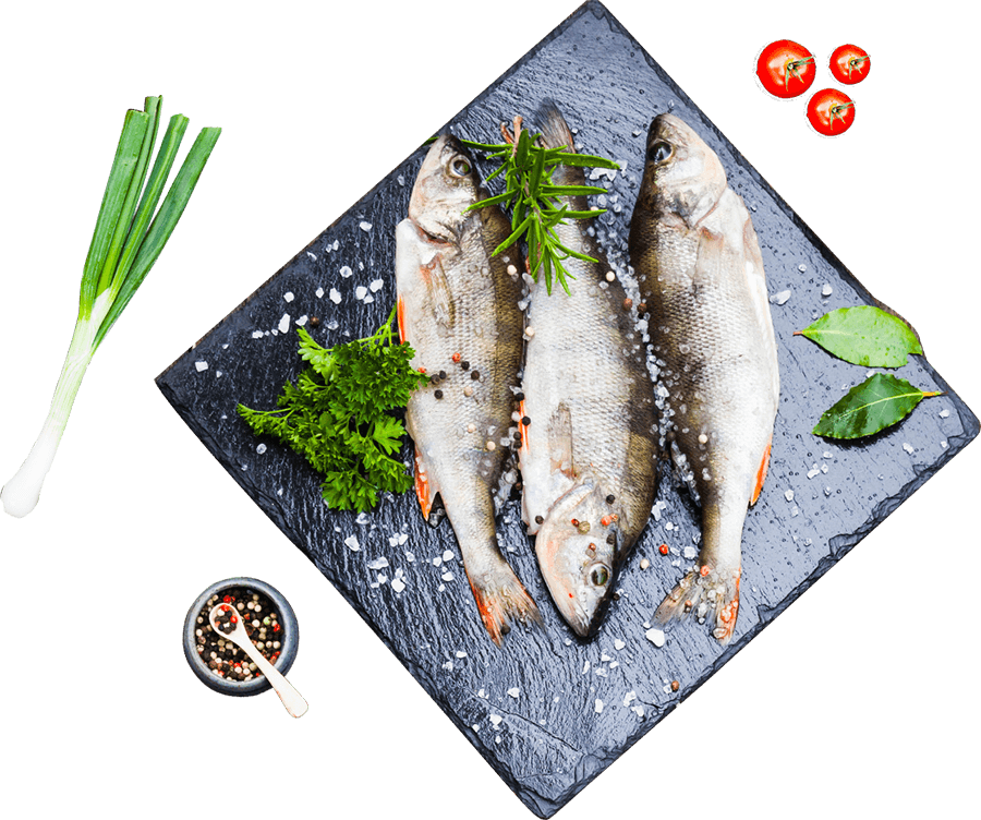 Mackerel - Design (900x752), Png Download