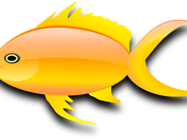 Gold Fish Clipart Yellow - Gold Fish Clip Art (640x480), Png Download