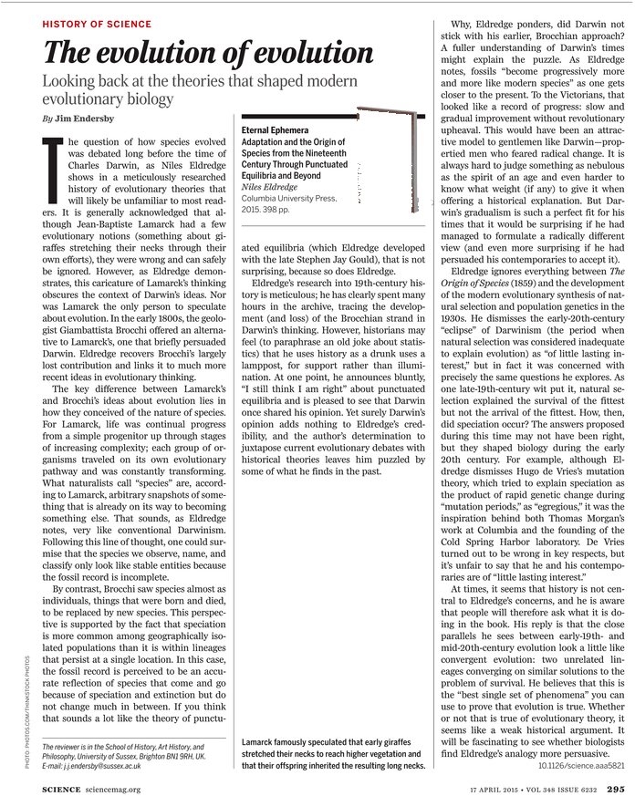 Discovery Of Achilles On Skyros (729x929), Png Download