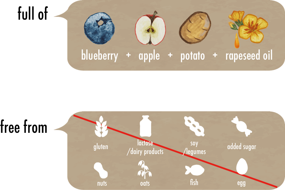 Blueberry - Veg Of Lund My Foodie (928x618), Png Download