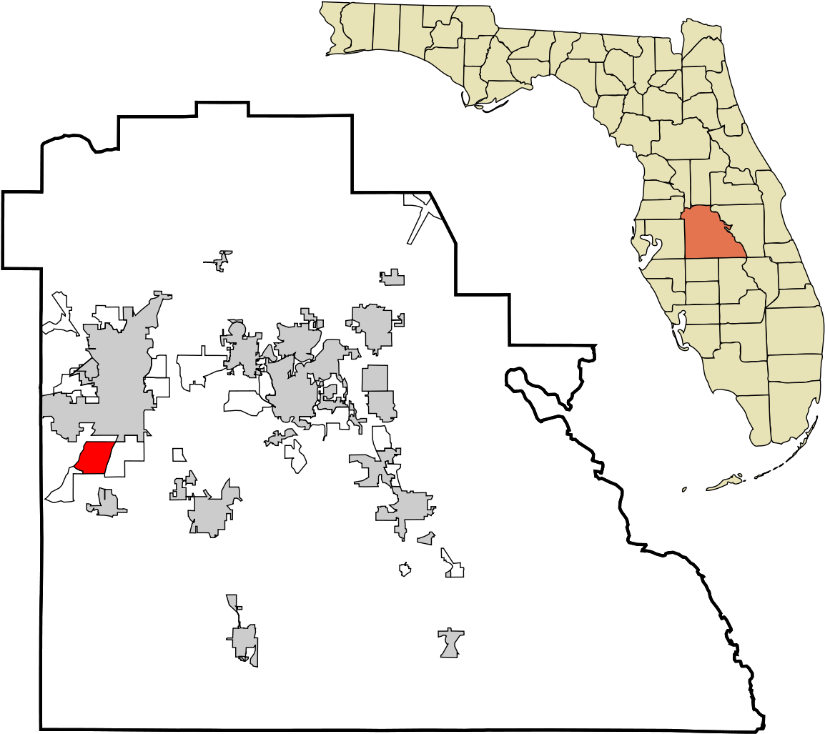 County Florida (1200x1059), Png Download