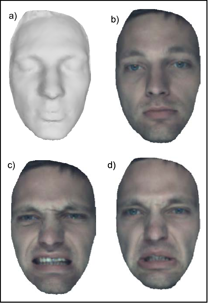 Face Normalization Examples For Different Expressions, - Collage (692x1004), Png Download