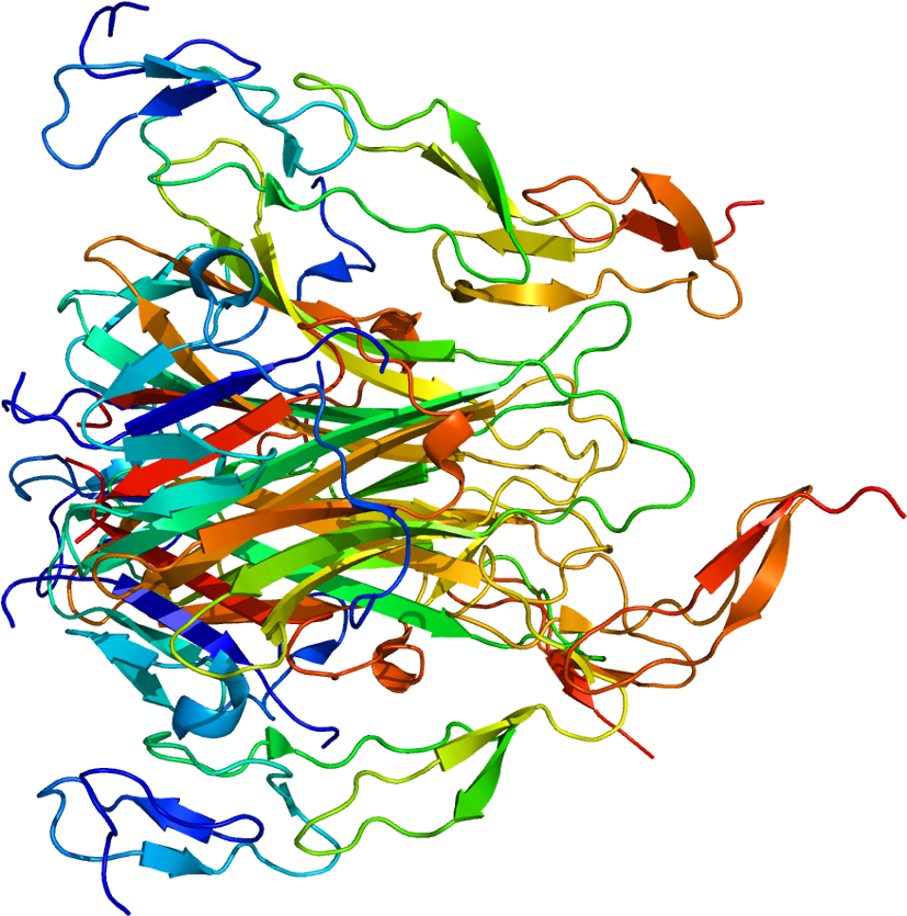 Death Receptor 5 Structure (876x884), Png Download
