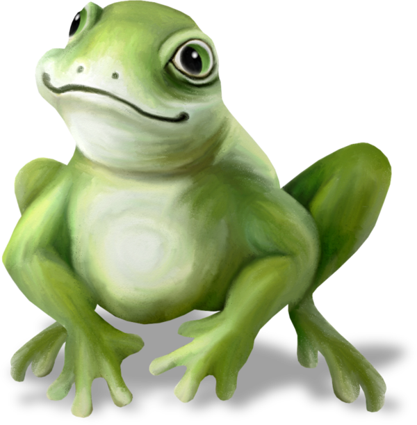Tubes Grenouilles Crown Png, Gnomes, Frog Pictures, - The Frog Prince (600x611), Png Download