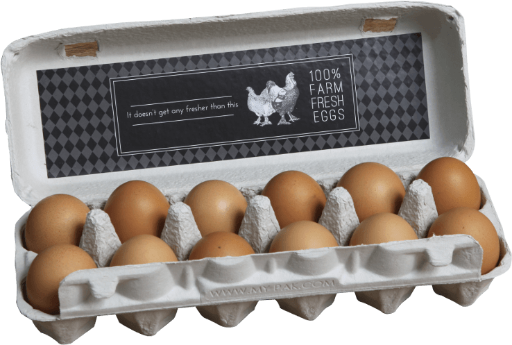 G2, Modern Design - Egg (800x600), Png Download