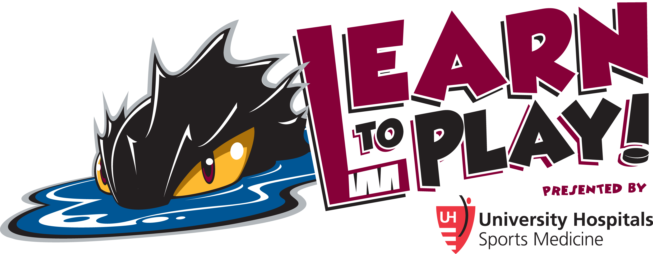 The Cshl Is The Only Hockey League Of Its Kind In Ne (2753x1074), Png Download