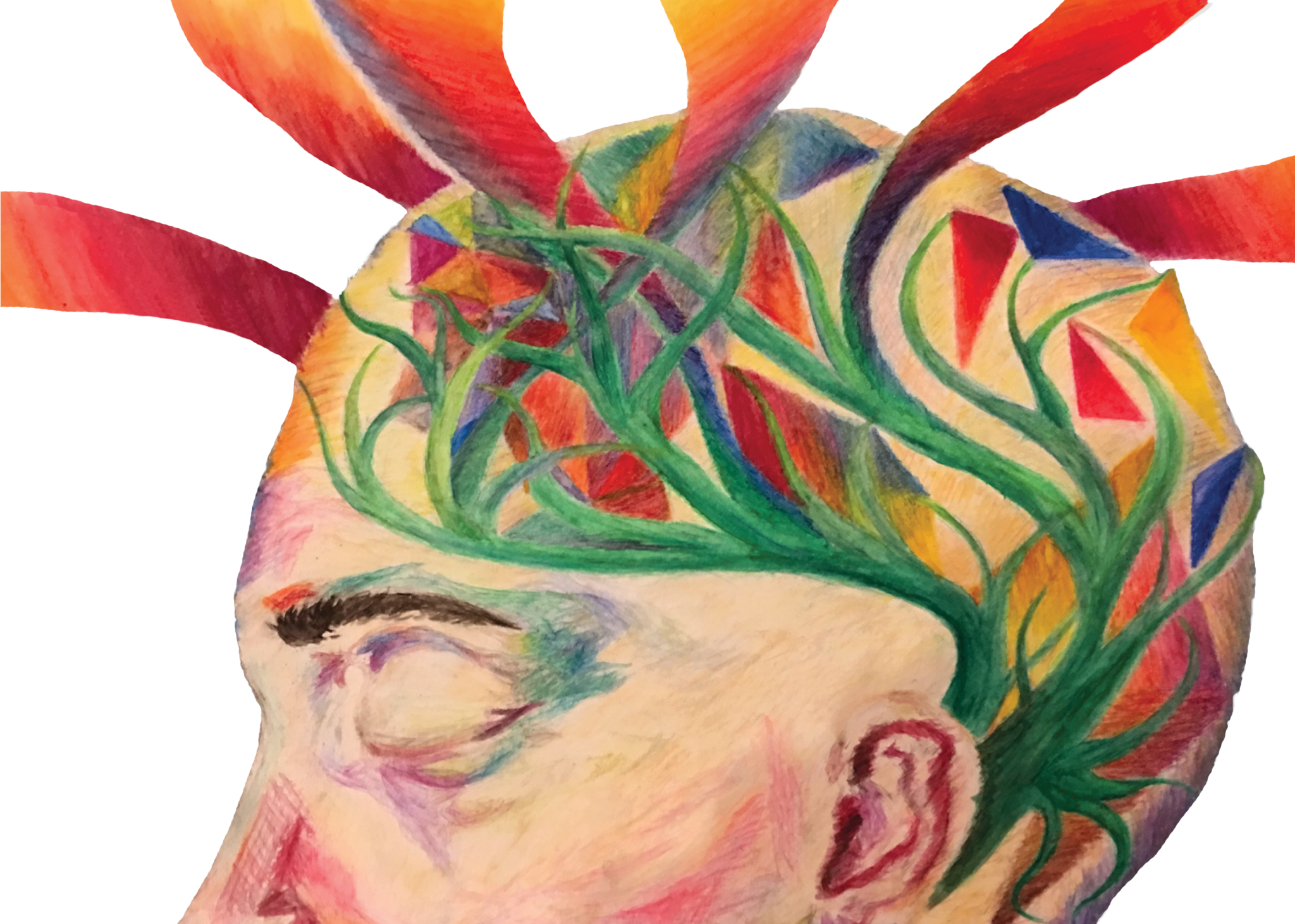 Rest Assured - Head (2048x1462), Png Download