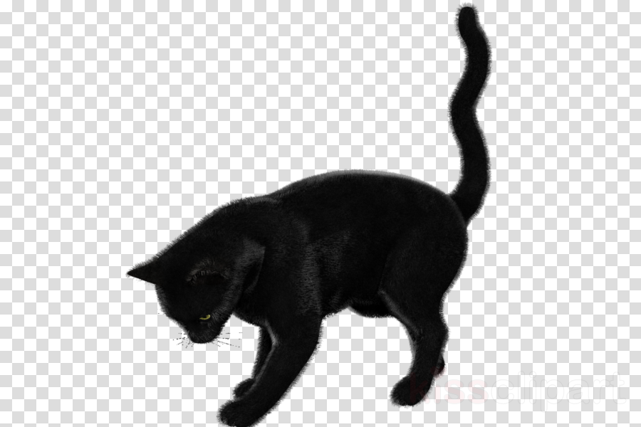 Cat Clipart Black Cat Bombay Cat Korat - Vector Graphics (900x600), Png Download