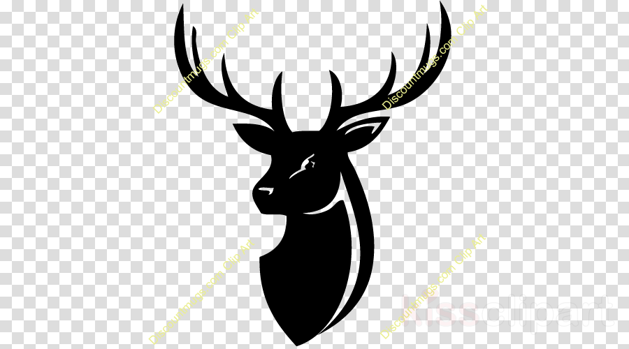 Antler Clipart Rajdhani Saree Centre Ramnath Model - Deer Black And White Png (900x500), Png Download