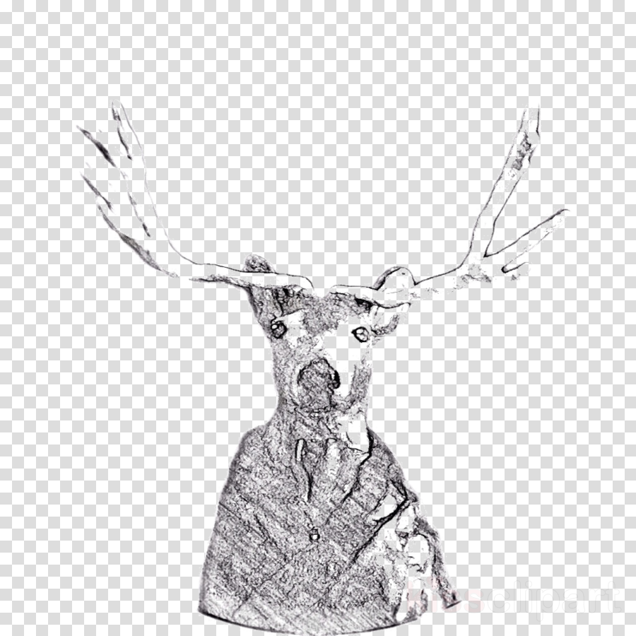 Mecca Hills Clipart Reindeer Antler Clip Art - Sketch (900x900), Png Download