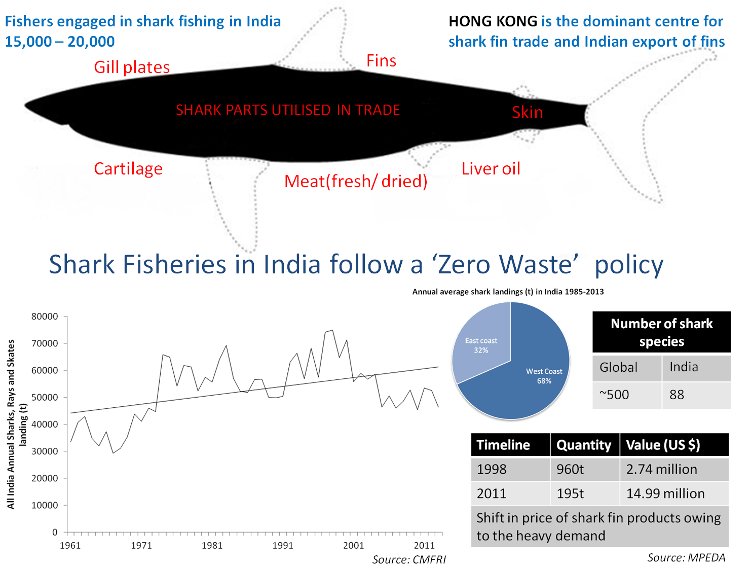 Globally, 14 July Is Observed As Shark Awareness Day - Infographic (1502x1127), Png Download