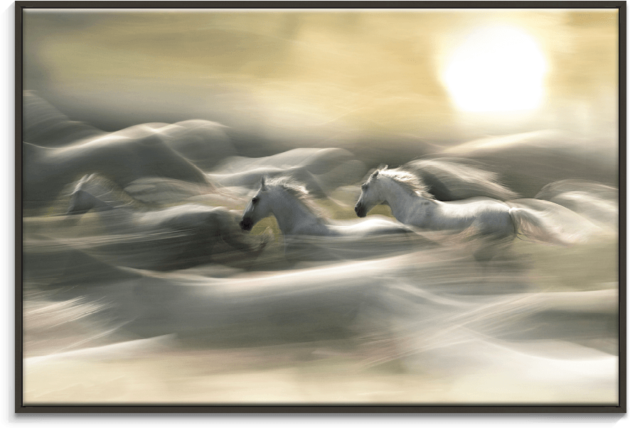 Photographers Lane Morning Dream - Trademark Art 'morning Dream' Graphic Art Print (900x900), Png Download