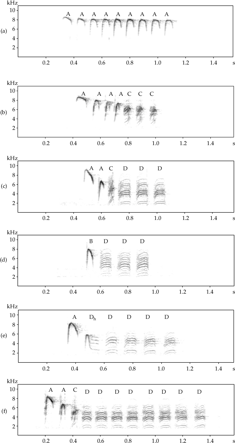 1 Sonagrams Of Carolina Chickadee Calls That Vary In - Calligraphy (819x1552), Png Download