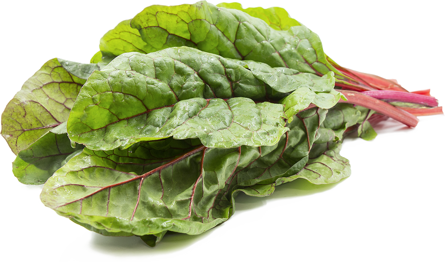 Png Photo Arts - Red Swiss Chard (872x514), Png Download