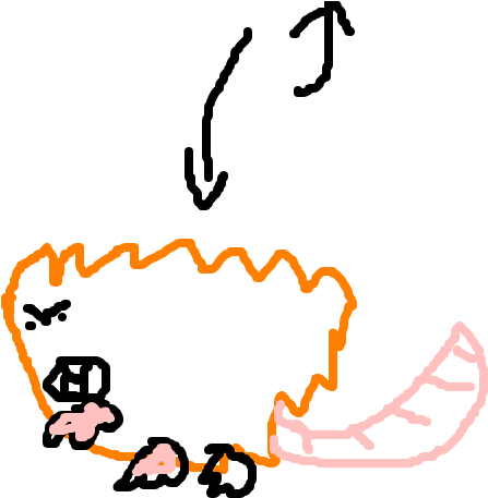 Raticate (1020x608), Png Download