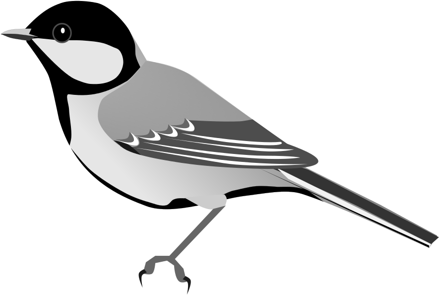 Open - Bird (1000x1000), Png Download