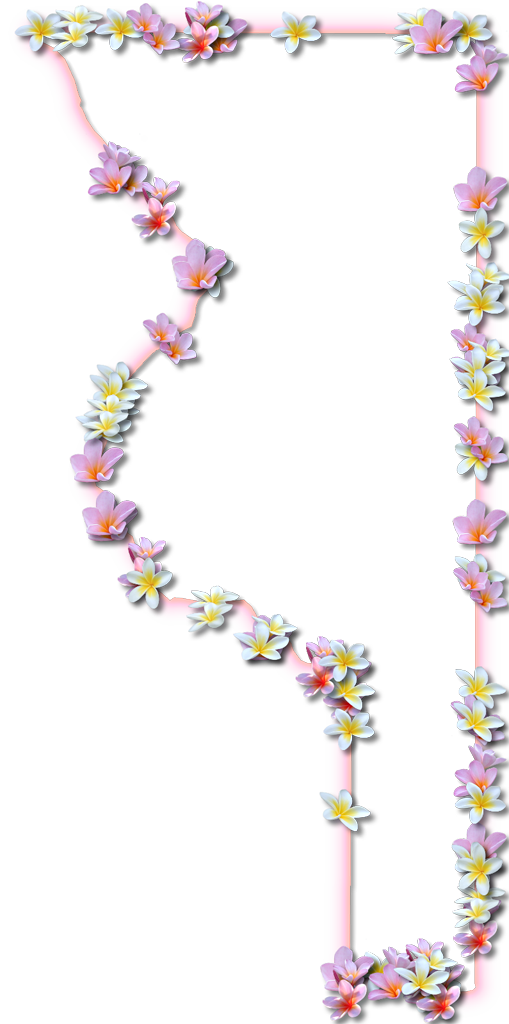 A Map Of Sumter With A Coral Color Glow Border And - Floral Design (509x1024), Png Download