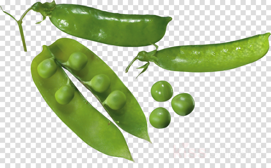 Download Natural Foods Clipart Snap Pea Serrano Pepper - Green Pea (900x560), Png Download