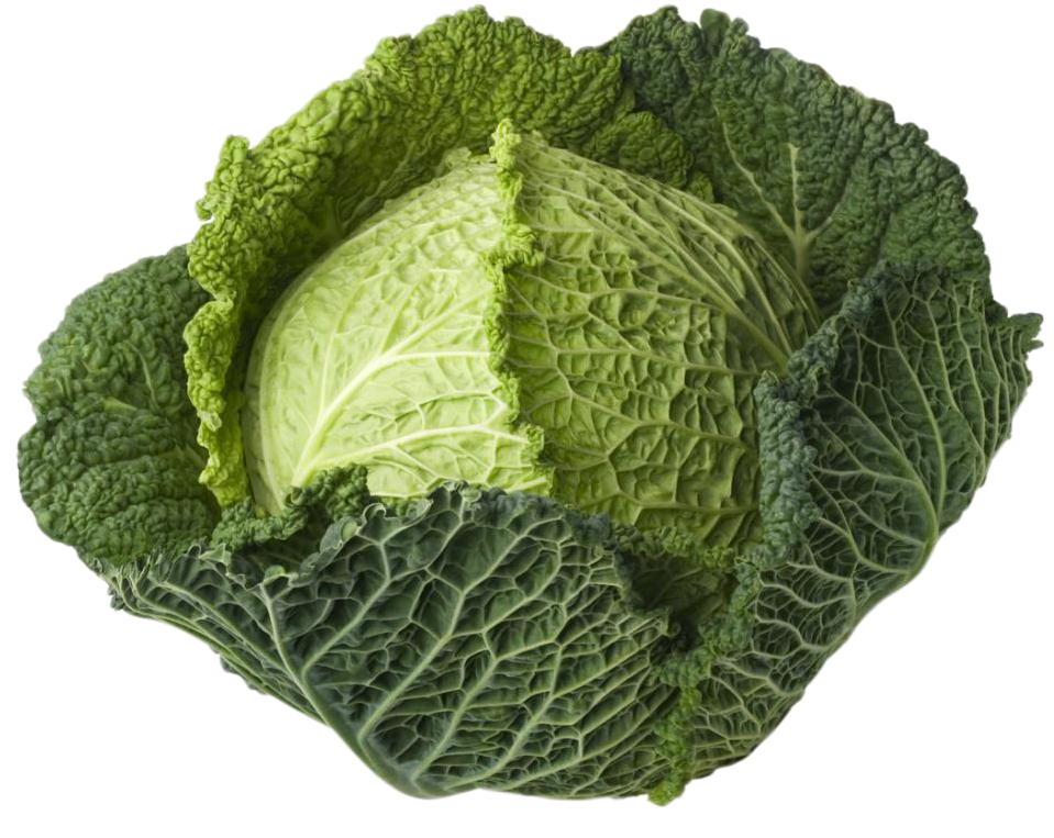 Cabbage Plant Png Clip Transparent Library - Vegetable Cabbage (1100x794), Png Download