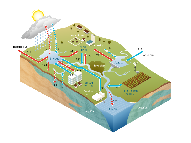 Schematic Diagram Of Water Inflows And Outflows (red - Lake Receives More Water From Sewage Than Natural Water (800x600), Png Download