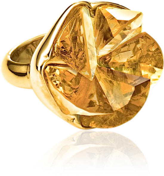 Elica Ring (750x750), Png Download