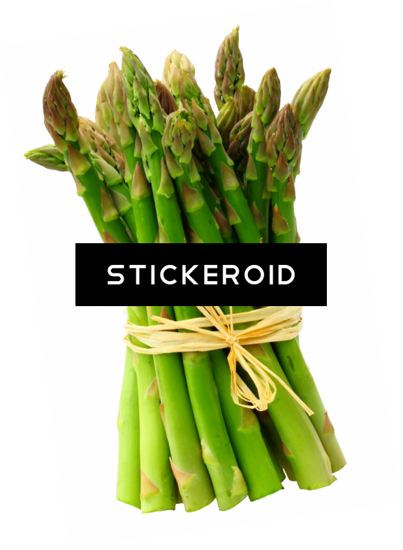 Asparagus Vegetables - Asparagus (577x787), Png Download