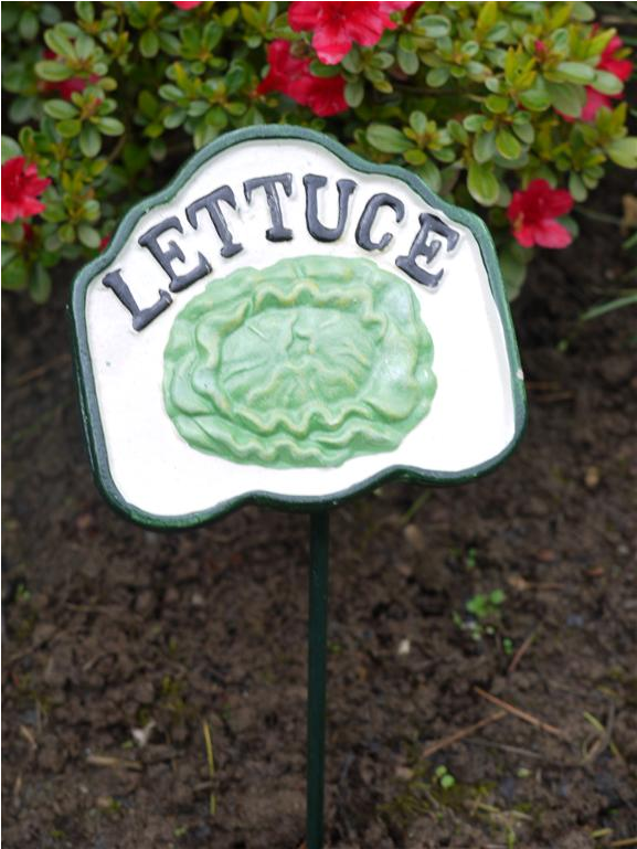 Cast Iron Garden Pot Outdoor Decorative Vegetable Plant - Lettuce (1152x768), Png Download