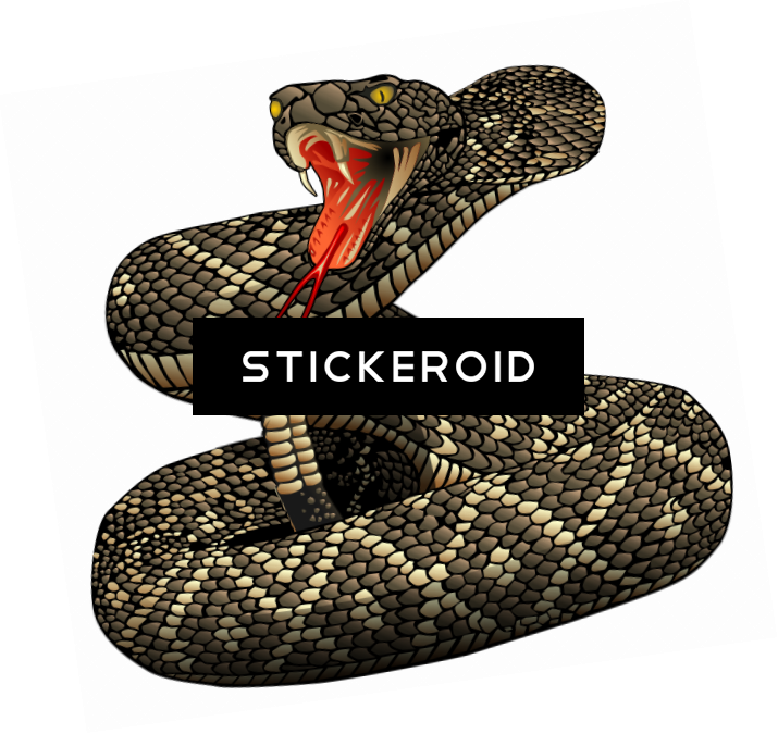 Rattlesnake - Eastern Diamondback Rattlesnake Clipart (715x675), Png Download